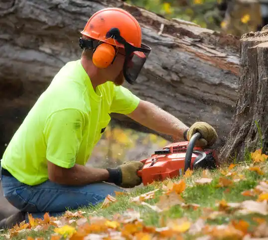 tree services Ogallala